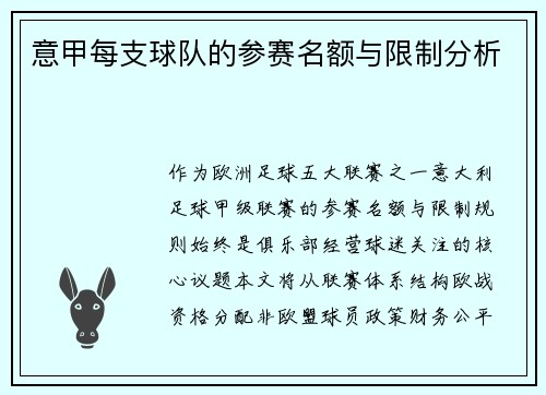 意甲每支球队的参赛名额与限制分析
